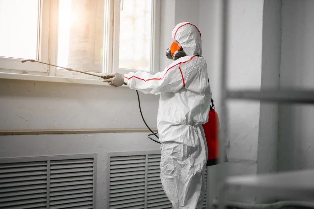 Professional mold remediation services in Wilmer, TX